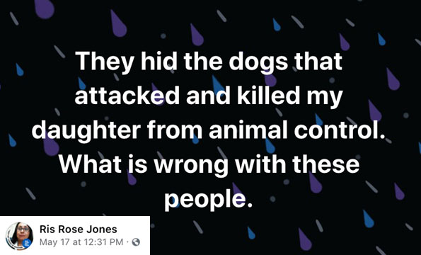 Fort Defiance fatal dog attack