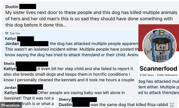 infant dead after apparent dog bite greene county